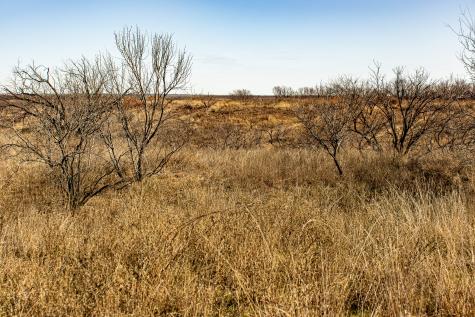 Tbd N Westover Road Seymour TX 76380
