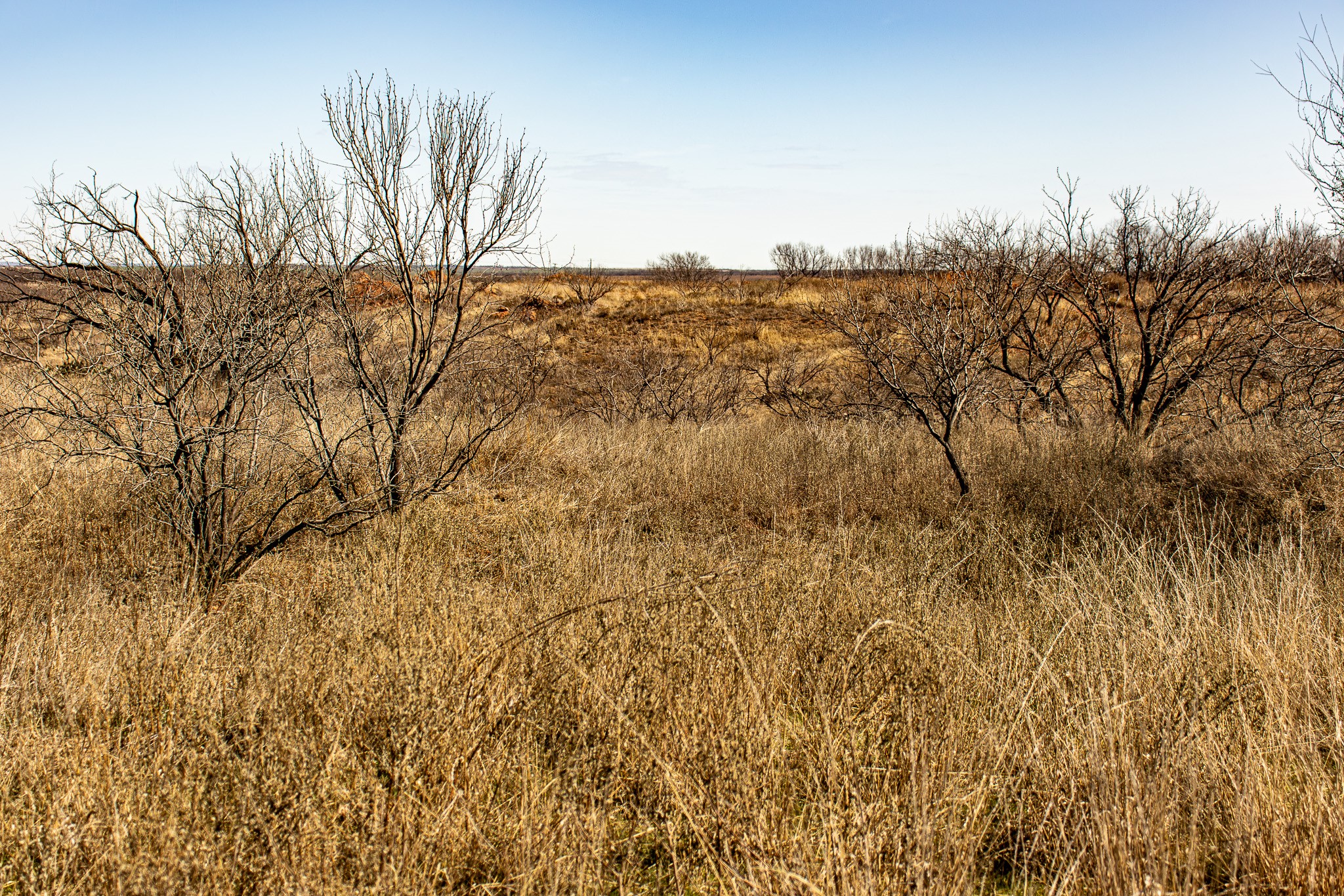 Tbd N Westover Road Seymour TX 76380