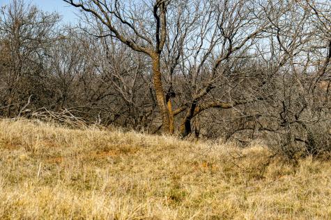 Tbd N Westover Road Seymour TX 76380