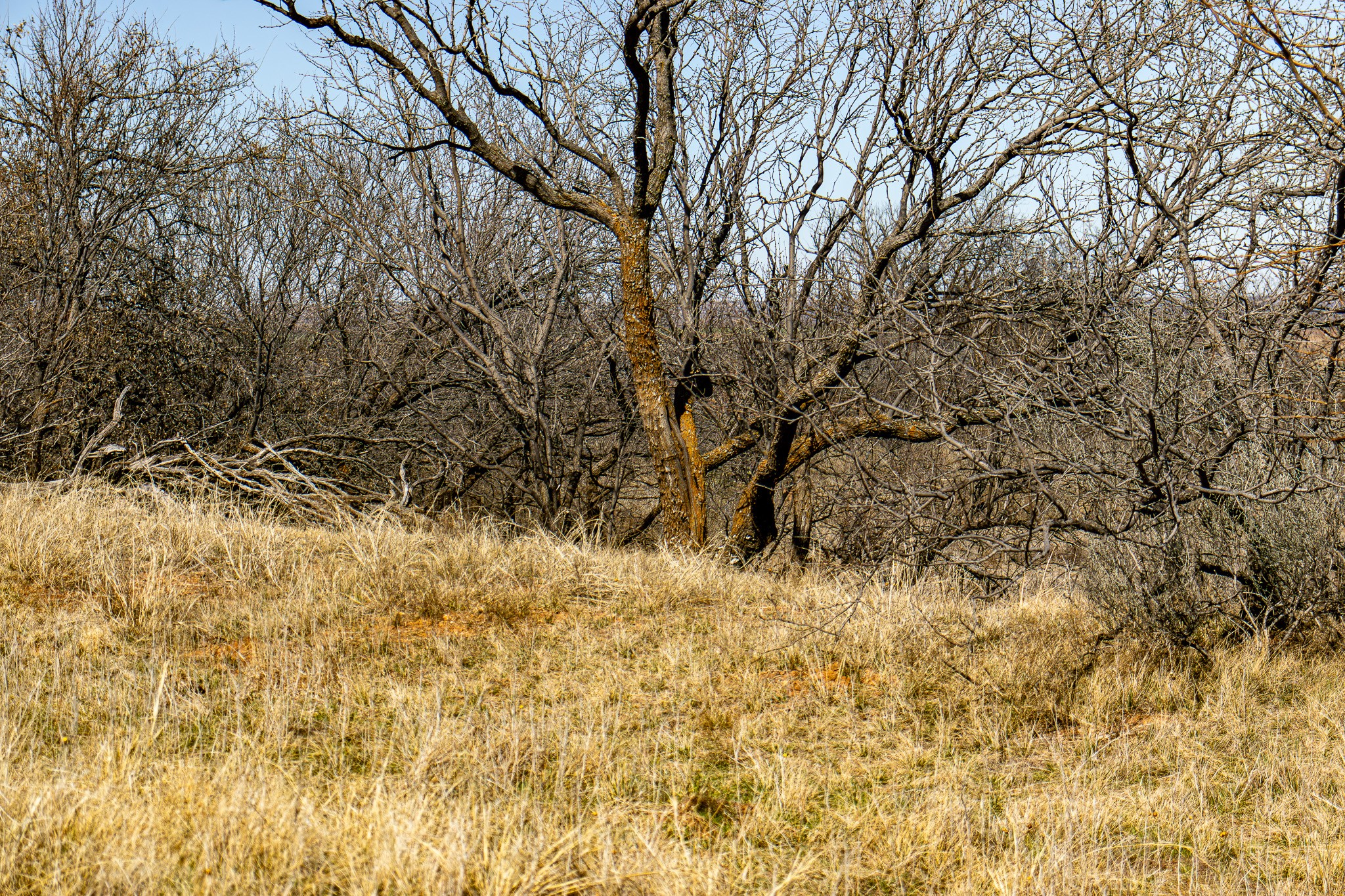 Tbd N Westover Road Seymour TX 76380