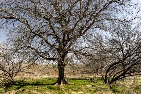 Tbd N Westover Road Seymour TX 76380