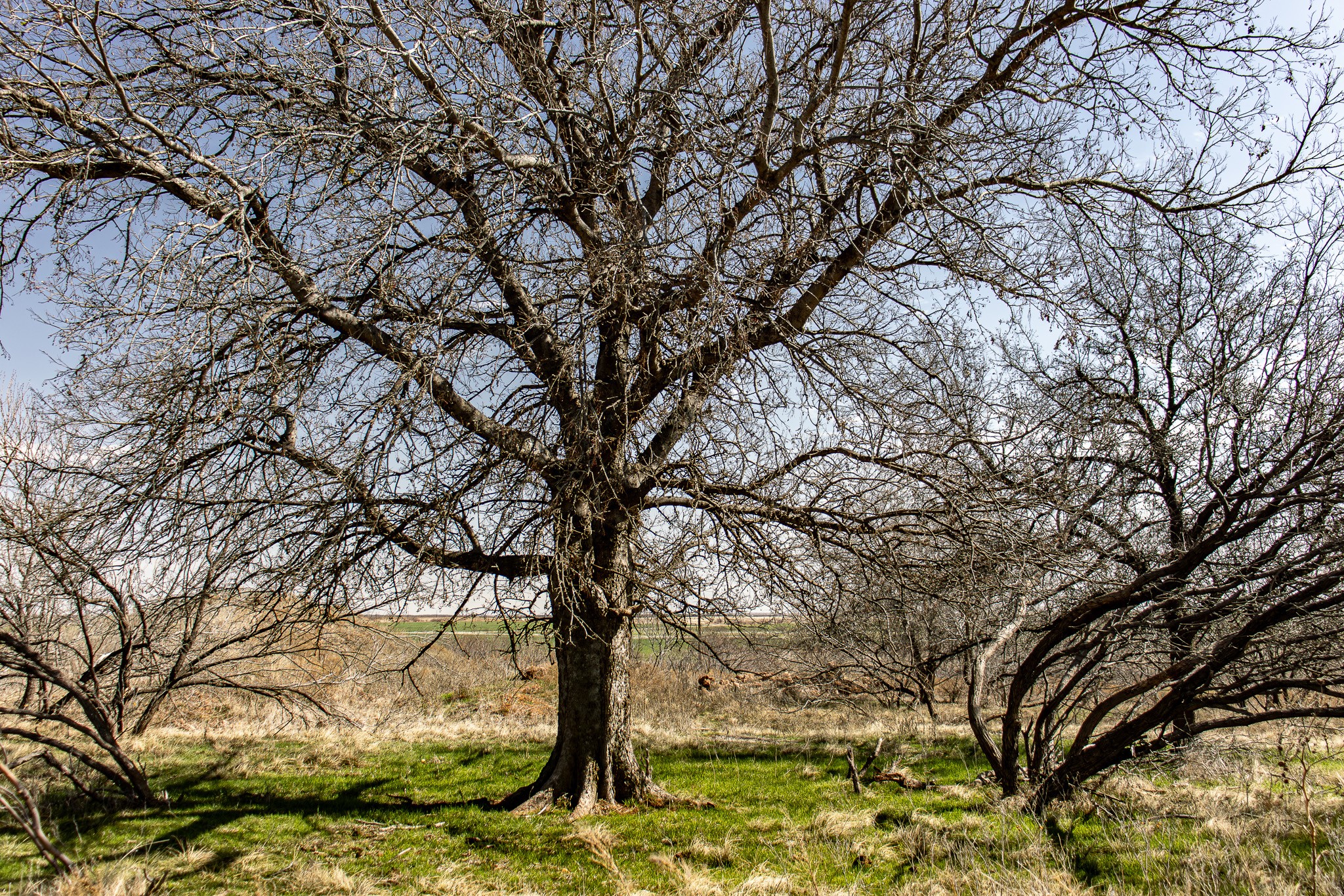 Tbd N Westover Road Seymour TX 76380
