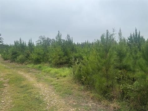 0000 Cr 2124 Clarksville TX 75426