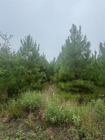 0000 Cr 2124 Clarksville TX 75426