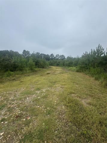 0000 Cr 2124 Clarksville TX 75426