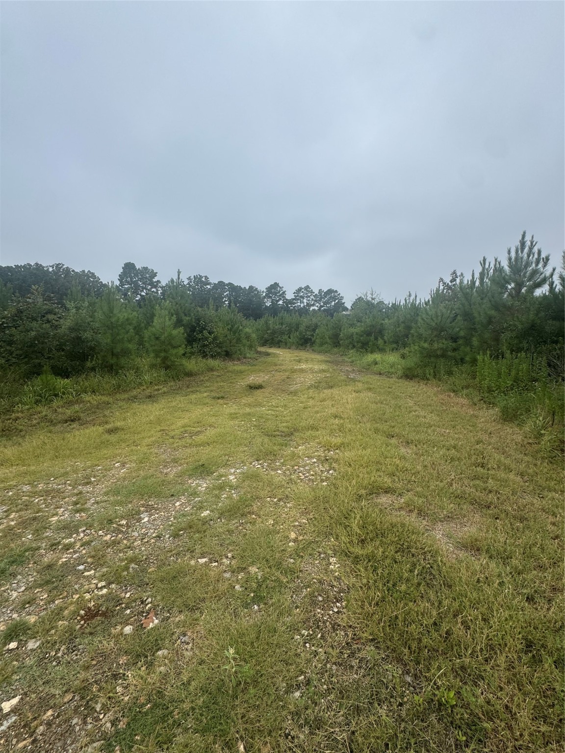 0000 Cr 2124 Clarksville TX 75426