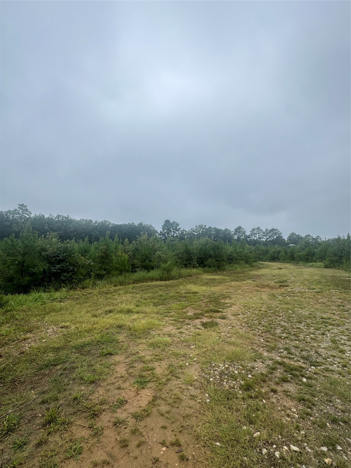 0000 Cr 2124 Clarksville TX 75426