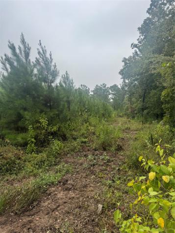0000 Cr 2124 Clarksville TX 75426