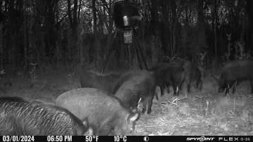 0000 Cr 2124 Clarksville TX 75426