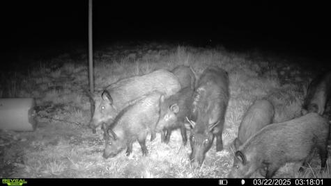 0000 Cr 2124 Clarksville TX 75426