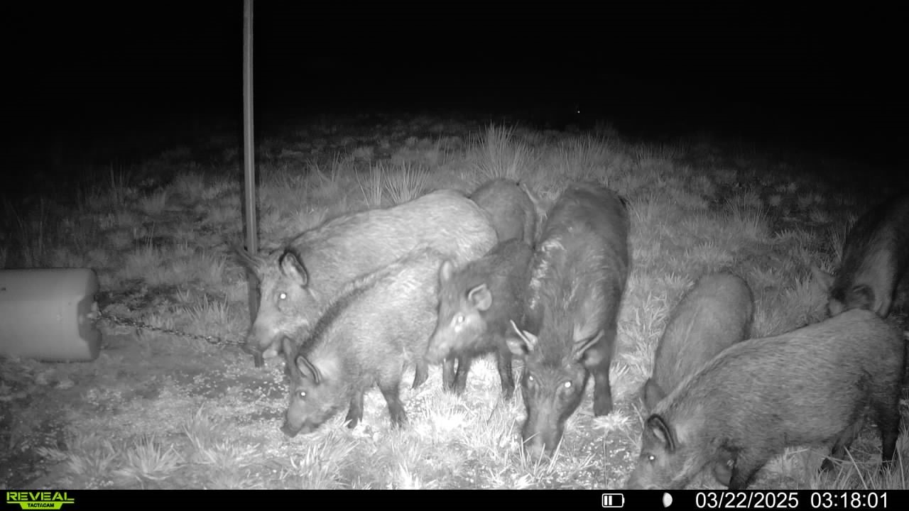 0000 Cr 2124 Clarksville TX 75426