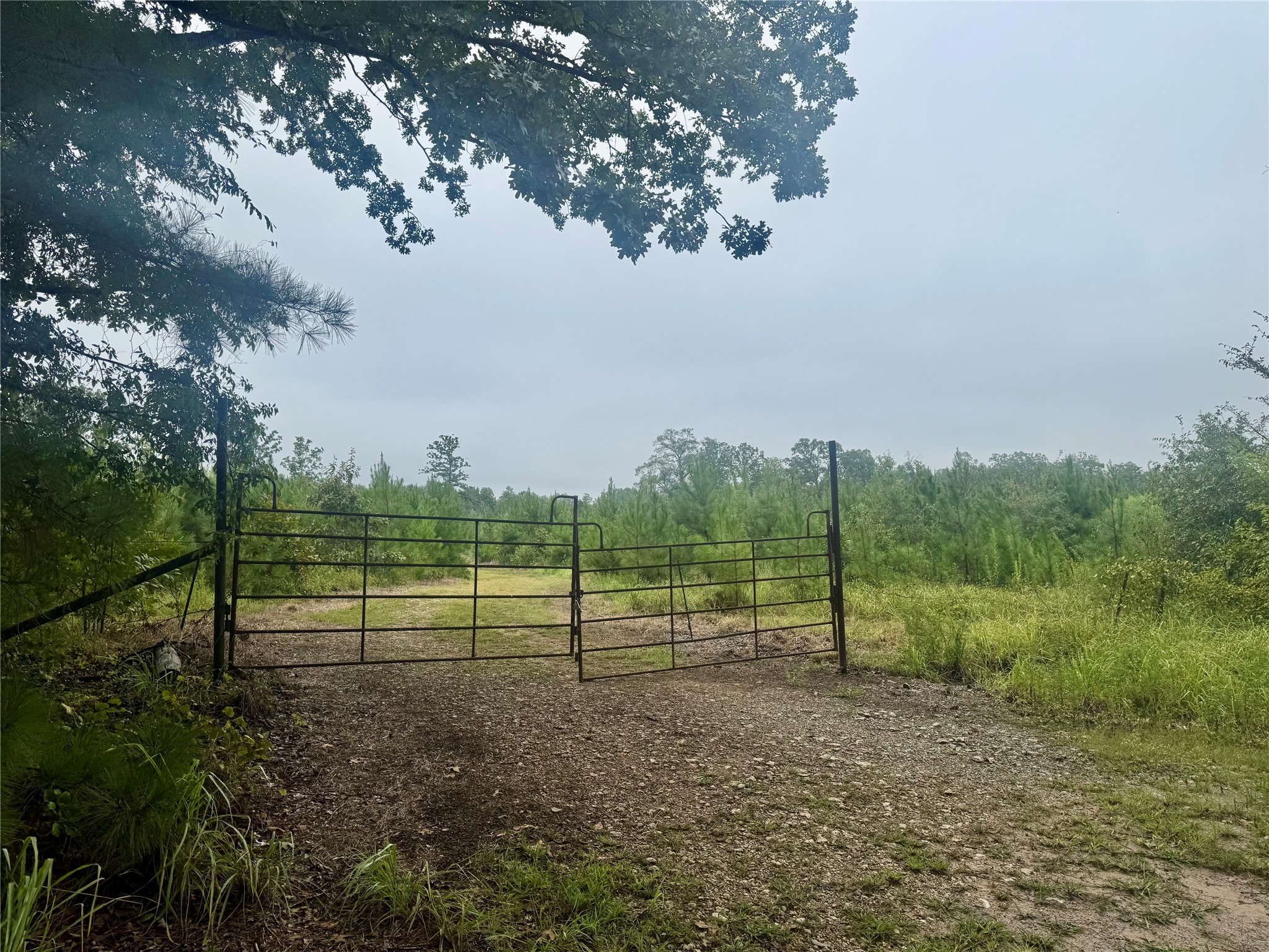 0000 Cr 2124 Clarksville TX 75426