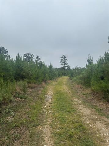 0000 Cr 2124 Clarksville TX 75426