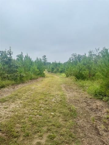 0000 Cr 2124 Clarksville TX 75426