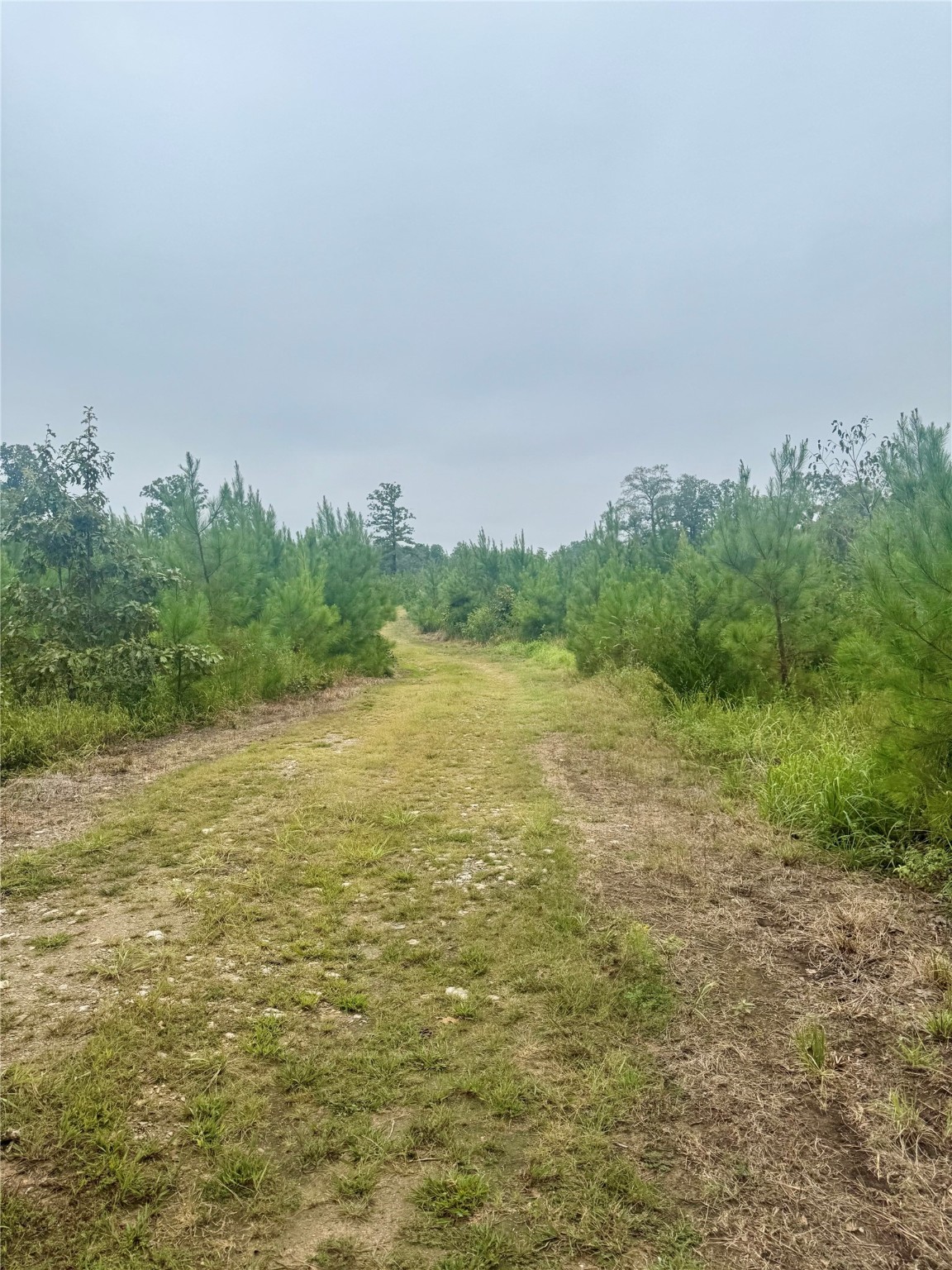 0000 Cr 2124 Clarksville TX 75426