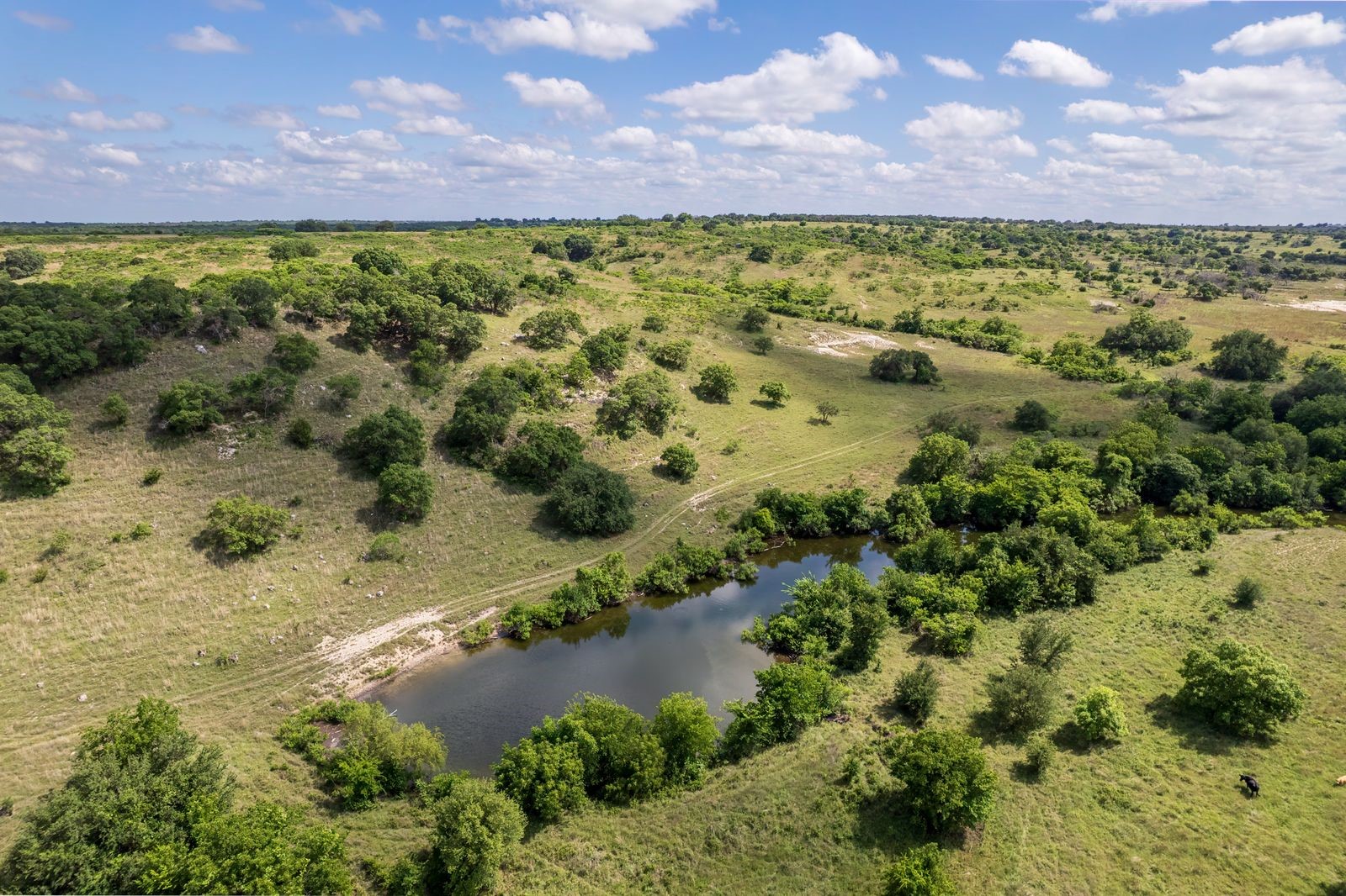 1385 County Road 536 Hamilton TX 76531