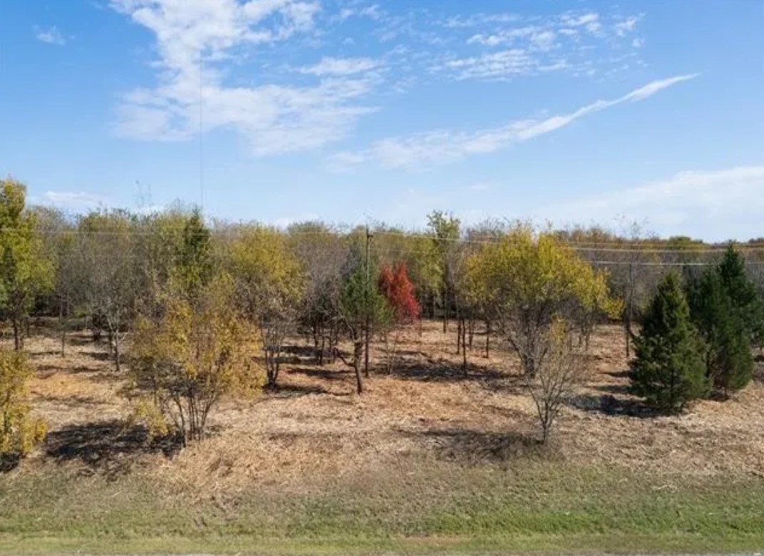 Tbd 11.609 Acres Ethel Cemetery Road Collinsville TX 76233