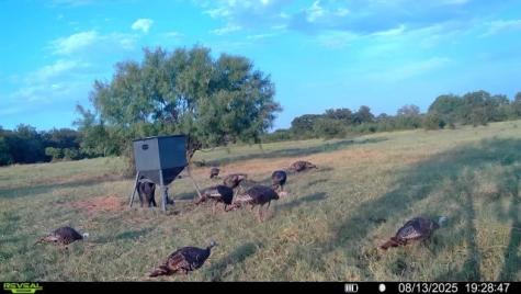 15100 County Road 129 Brownwood TX 76801