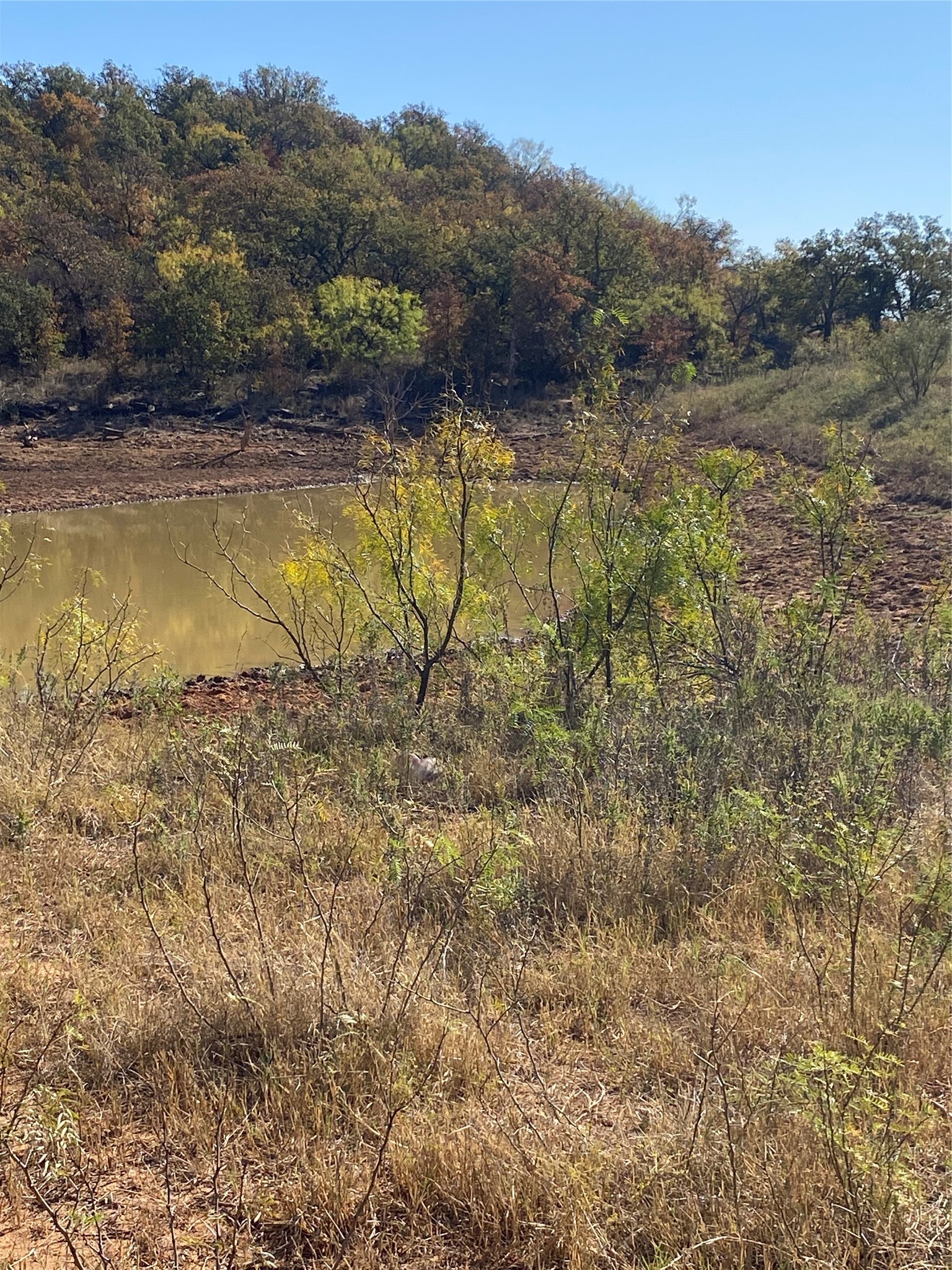 15100 County Road 129 Brownwood TX 76801