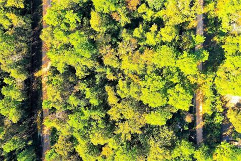 Lot 500-502 Patsy Cline Road Livingston TX 77351