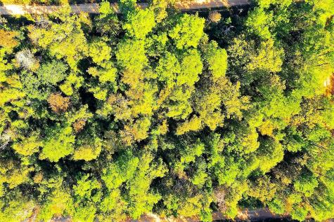 Lot 500-502 Patsy Cline Road Livingston TX 77351