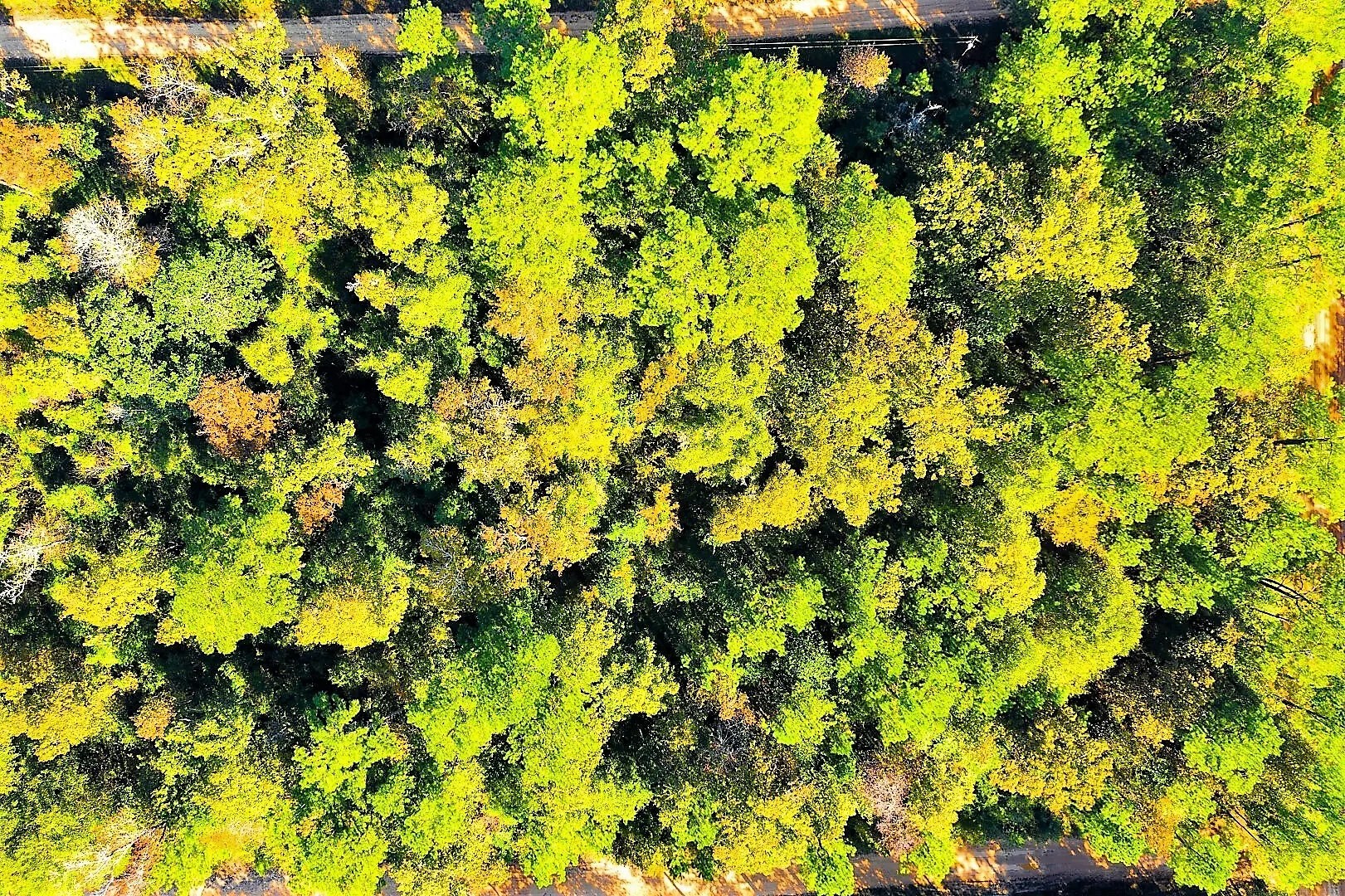Lot 500-502 Patsy Cline Road Livingston TX 77351