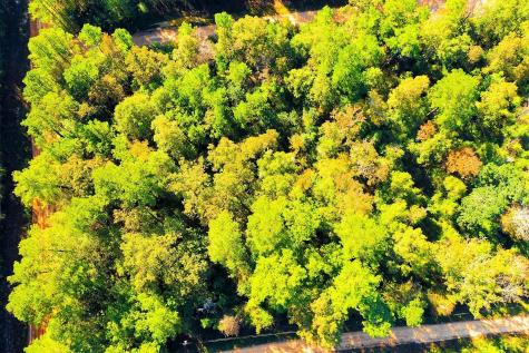 Lot 500-502 Patsy Cline Road Livingston TX 77351