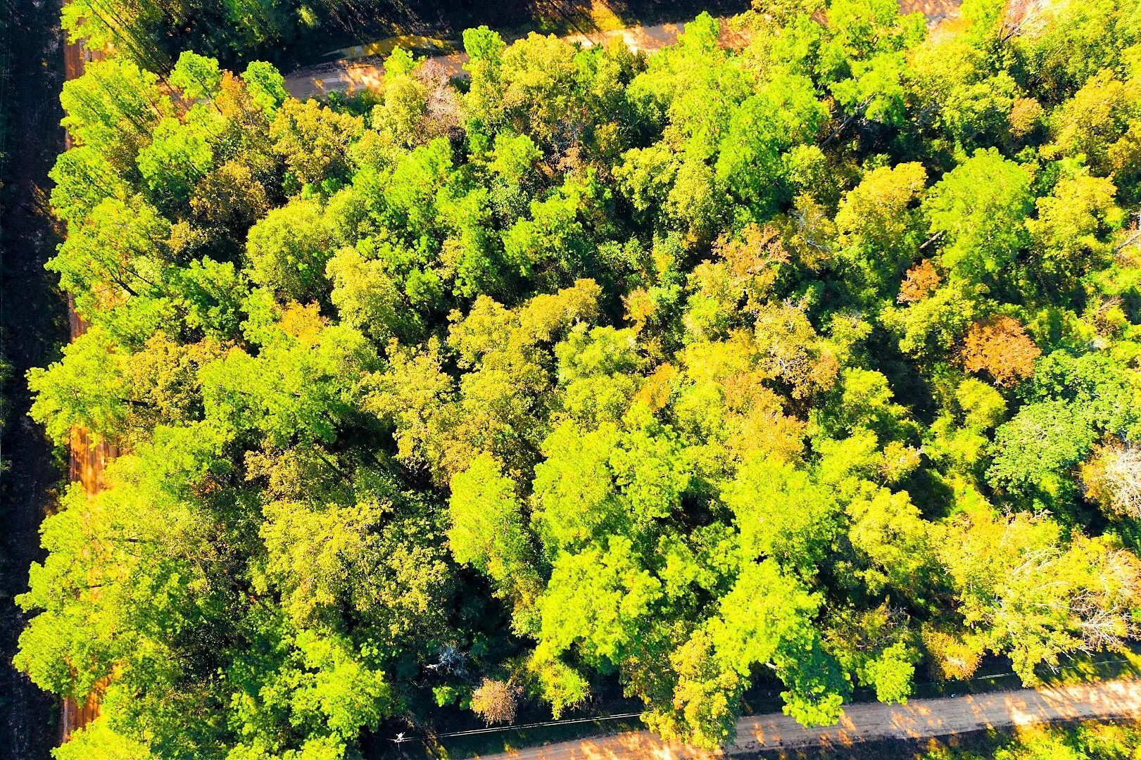 Lot 500-502 Patsy Cline Road Livingston TX 77351