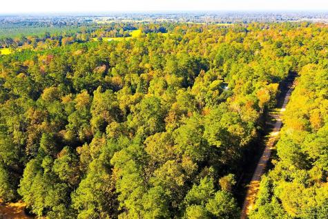 Lot 500-502 Patsy Cline Road Livingston TX 77351