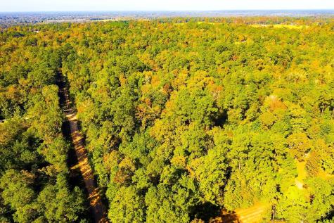 Lot 500-502 Patsy Cline Road Livingston TX 77351