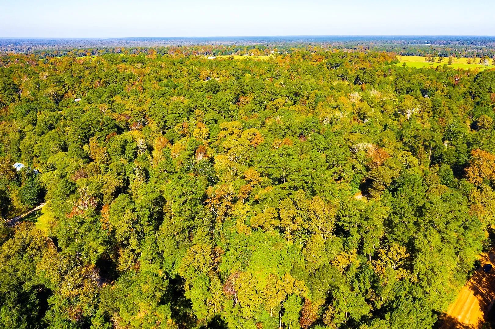 Lot 500-502 Patsy Cline Road Livingston TX 77351