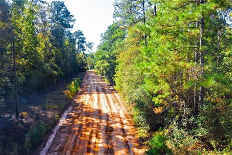 Lot 500-502 Patsy Cline Road Livingston TX 77351