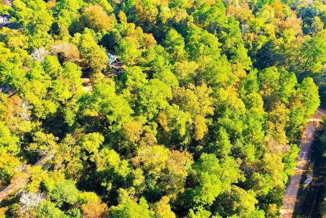 Lot 500-502 Patsy Cline Road Livingston TX 77351