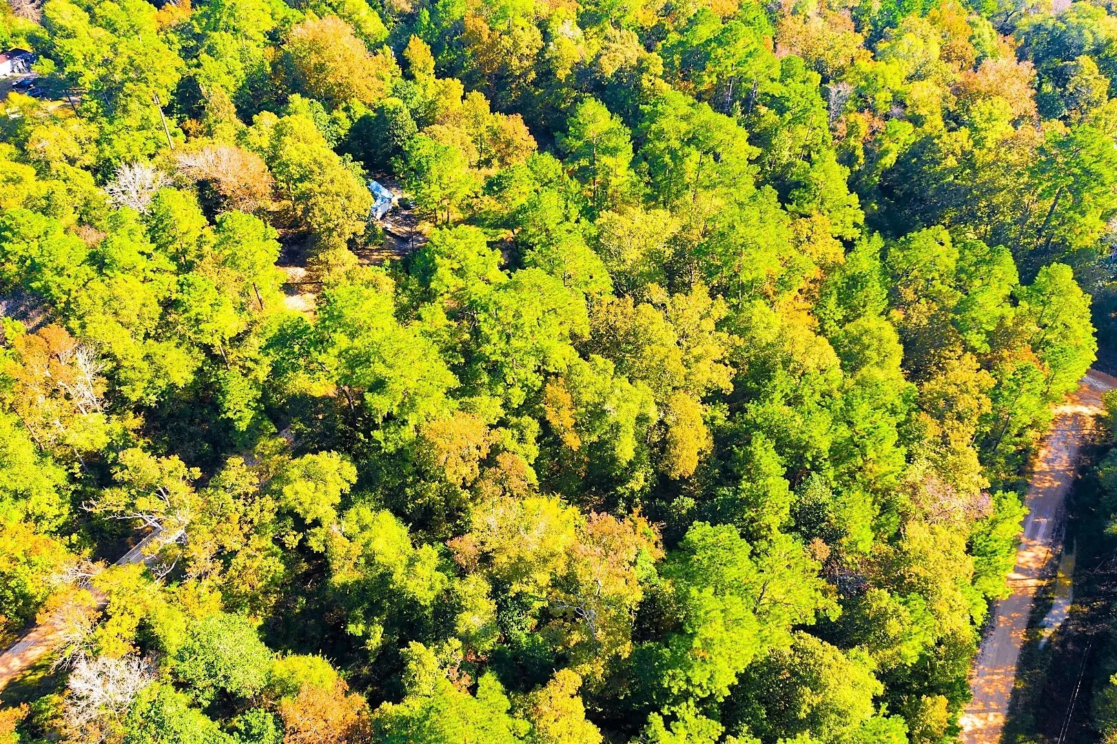Lot 500-502 Patsy Cline Road Livingston TX 77351