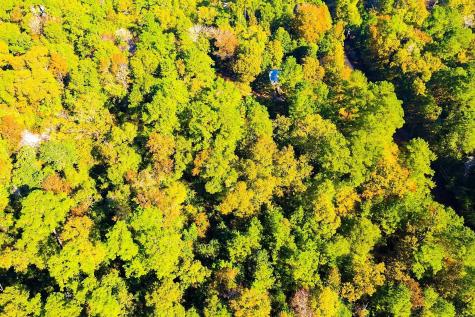 Lot 500-502 Patsy Cline Road Livingston TX 77351