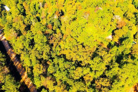 Lot 500-502 Patsy Cline Road Livingston TX 77351