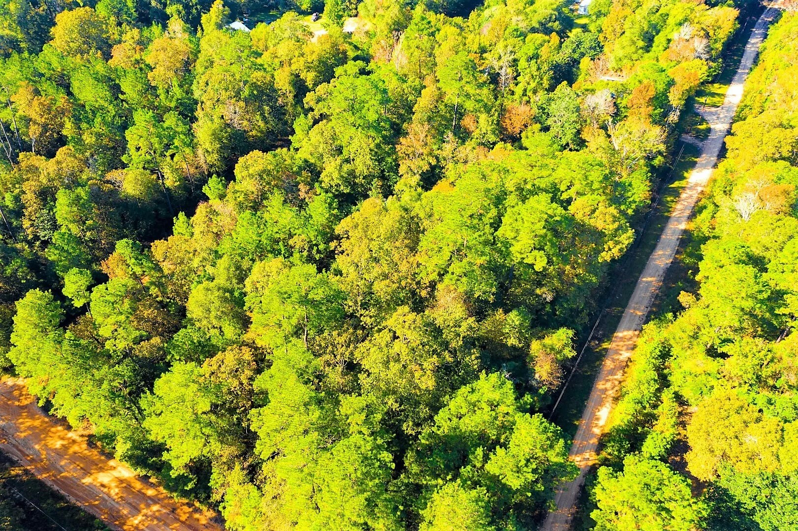 Lot 500-502 Patsy Cline Road Livingston TX 77351
