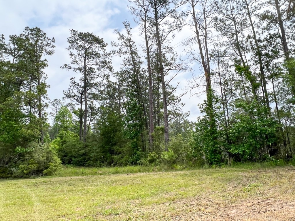 00 Fm 2937/old Arco Road Silsbee TX 77656
