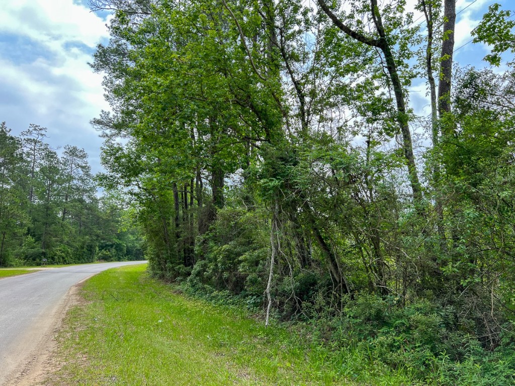 00 Fm 2937/old Arco Road Silsbee TX 77656