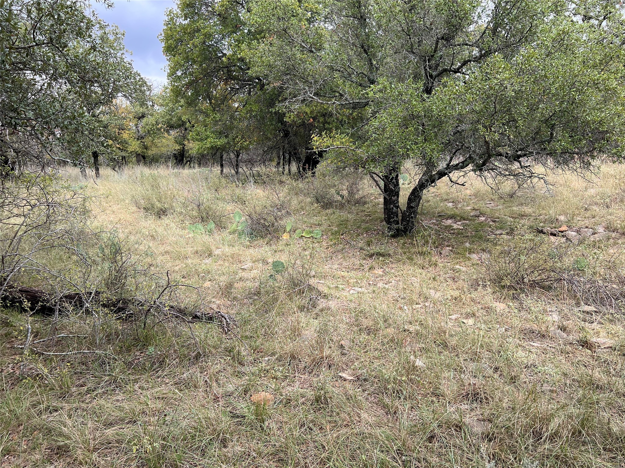Tbd Lot 586 Oak Point Drive May TX 76857