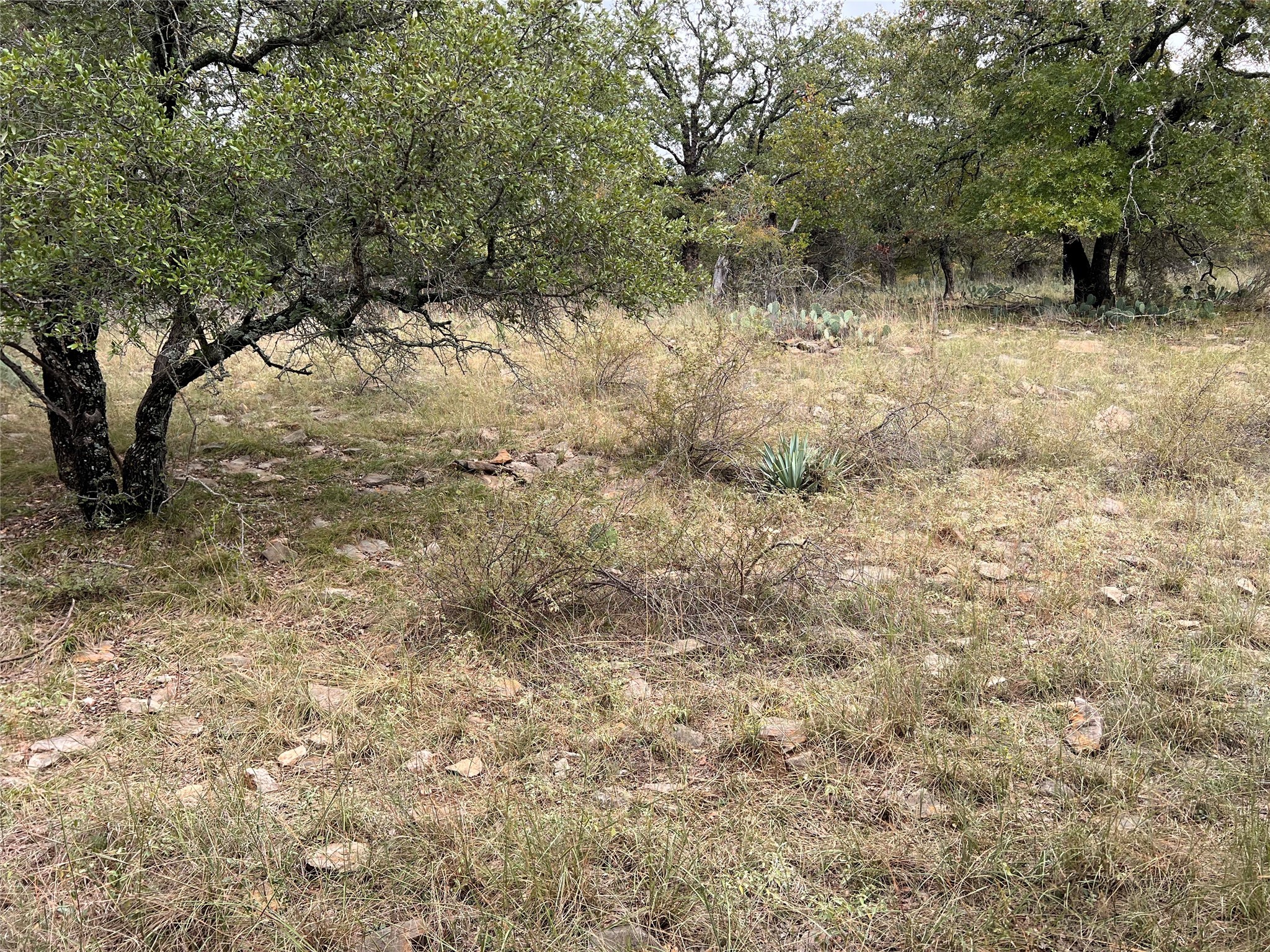 Tbd Lot 586 Oak Point Drive May TX 76857