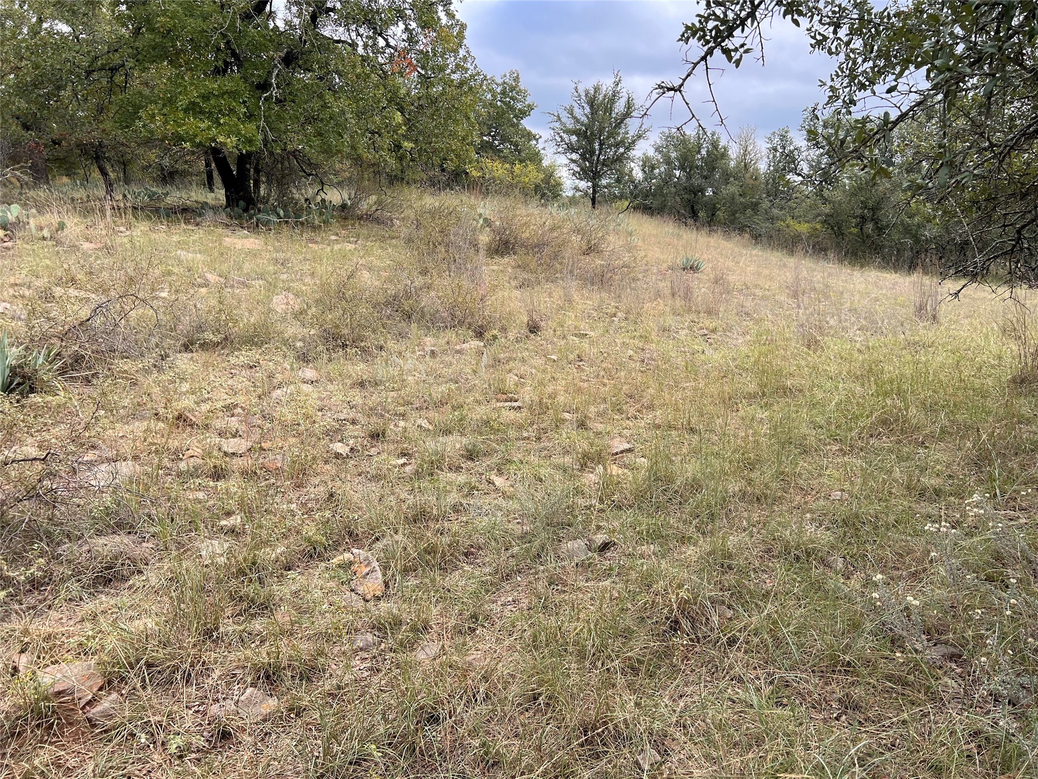Tbd Lot 586 Oak Point Drive May TX 76857