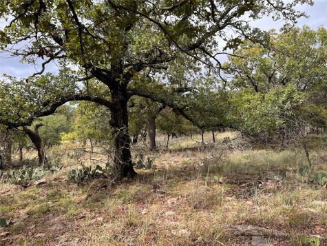Tbd Lot 586 Oak Point Drive May TX 76857