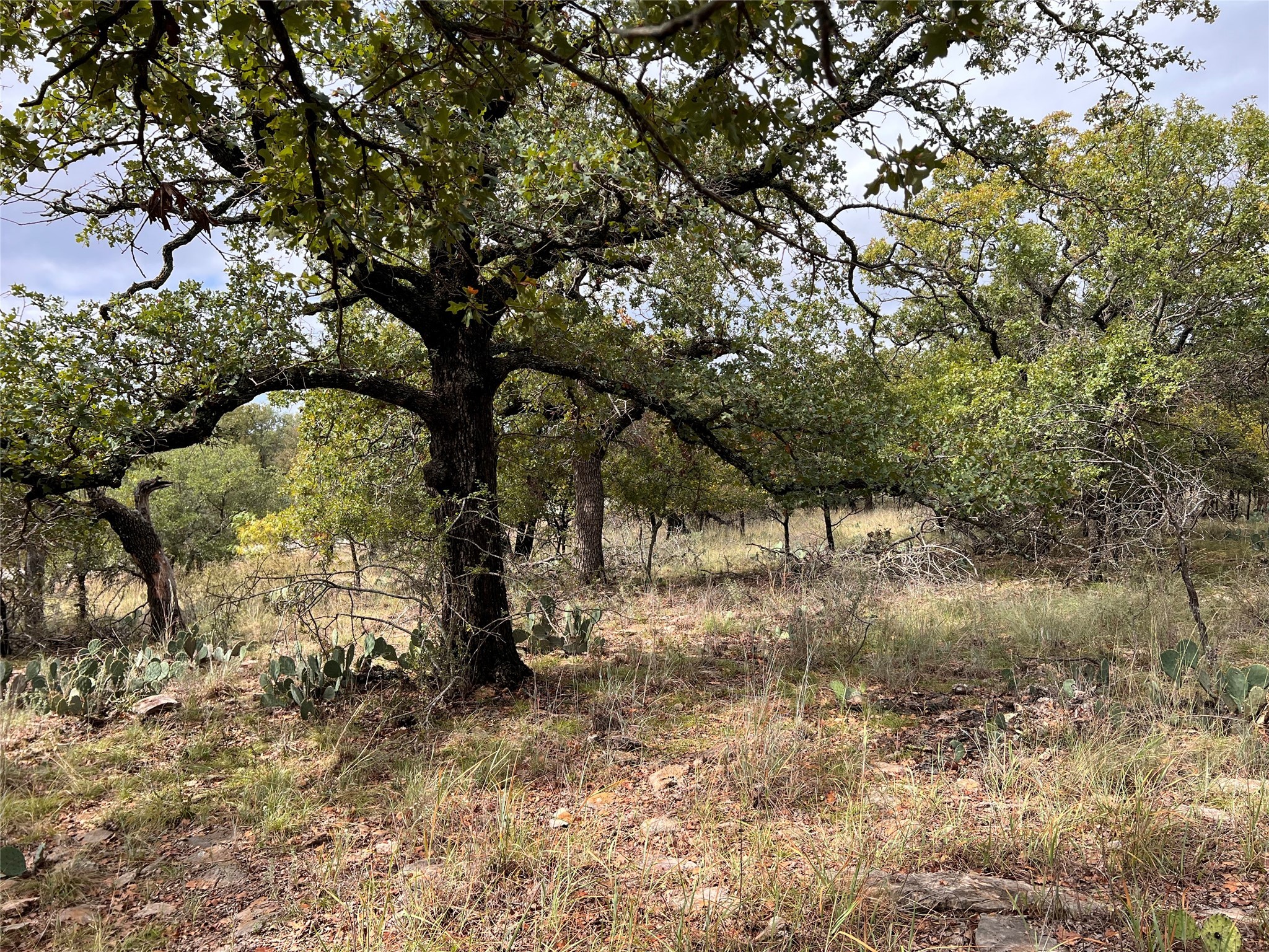 Tbd Lot 586 Oak Point Drive May TX 76857