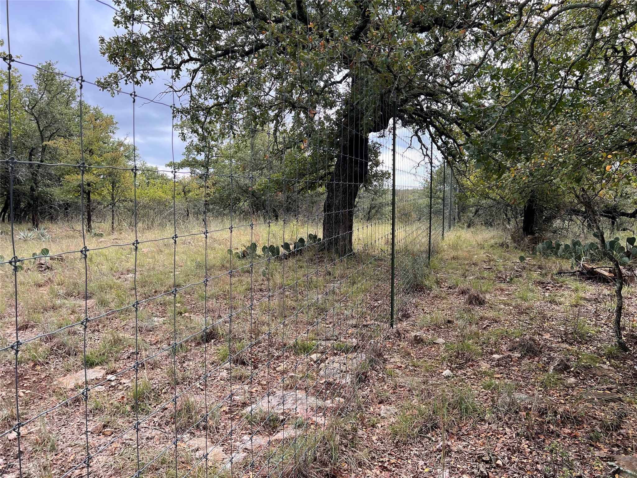 Tbd Lot 586 Oak Point Drive May TX 76857