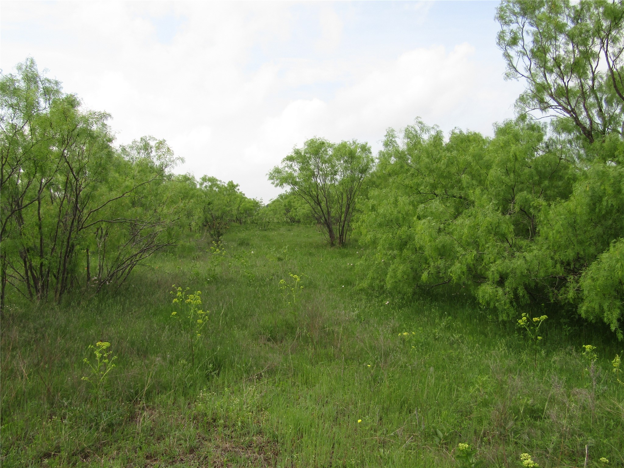 . Fm 2450 & Indian Trail Sanger TX 76249