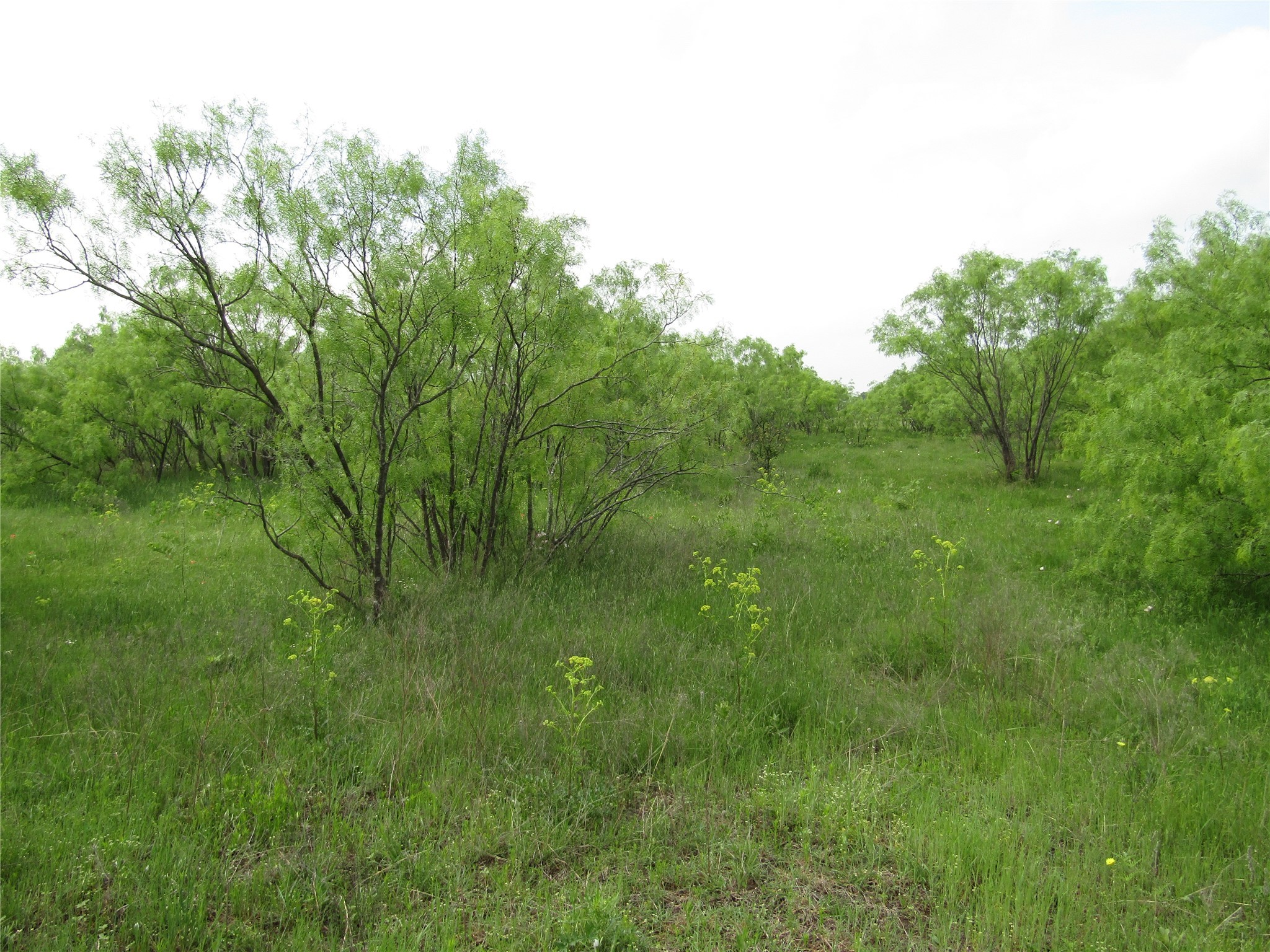 . Fm 2450 & Indian Trail Sanger TX 76249