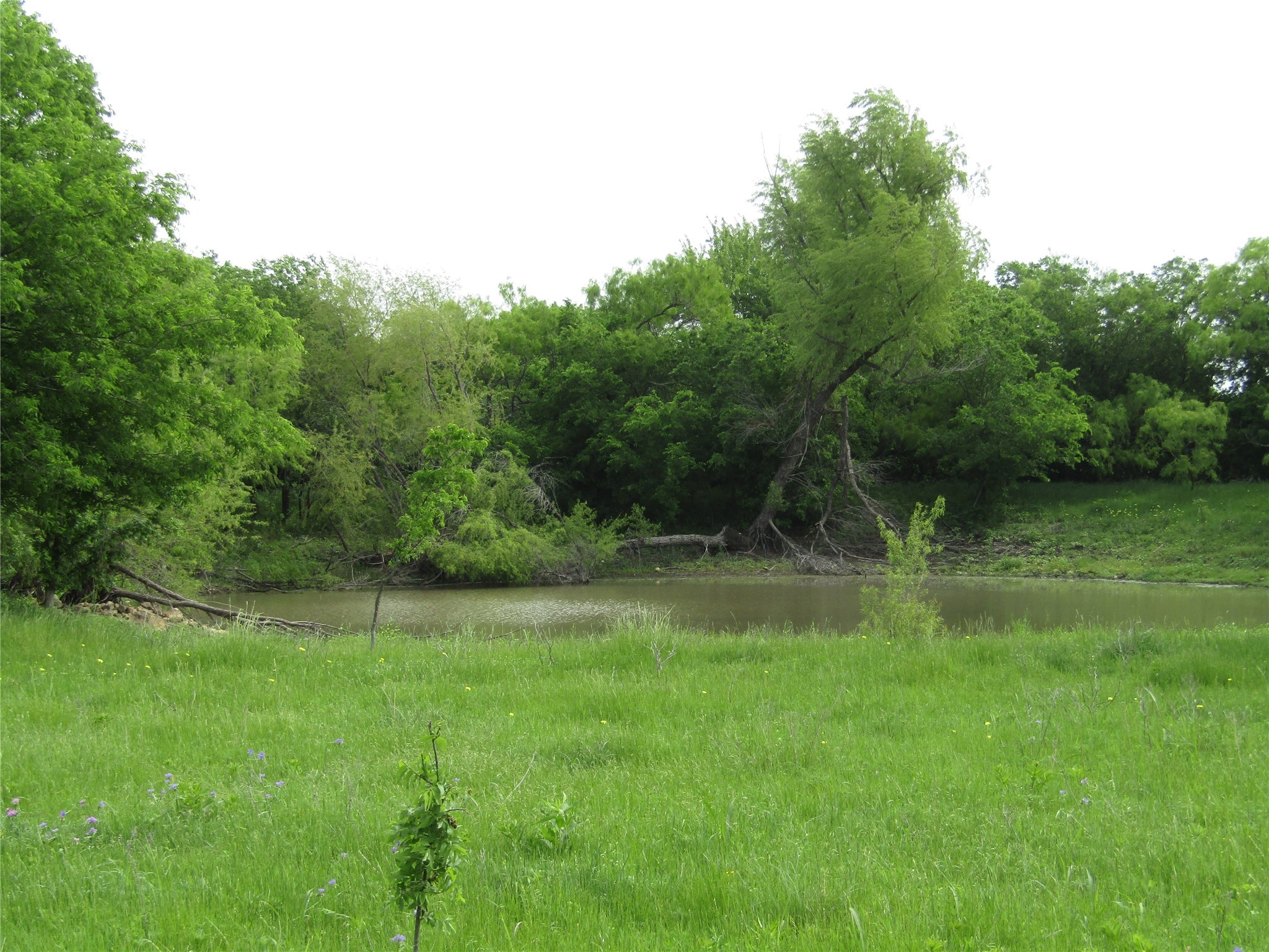 . Fm 2450 & Indian Trail Sanger TX 76249