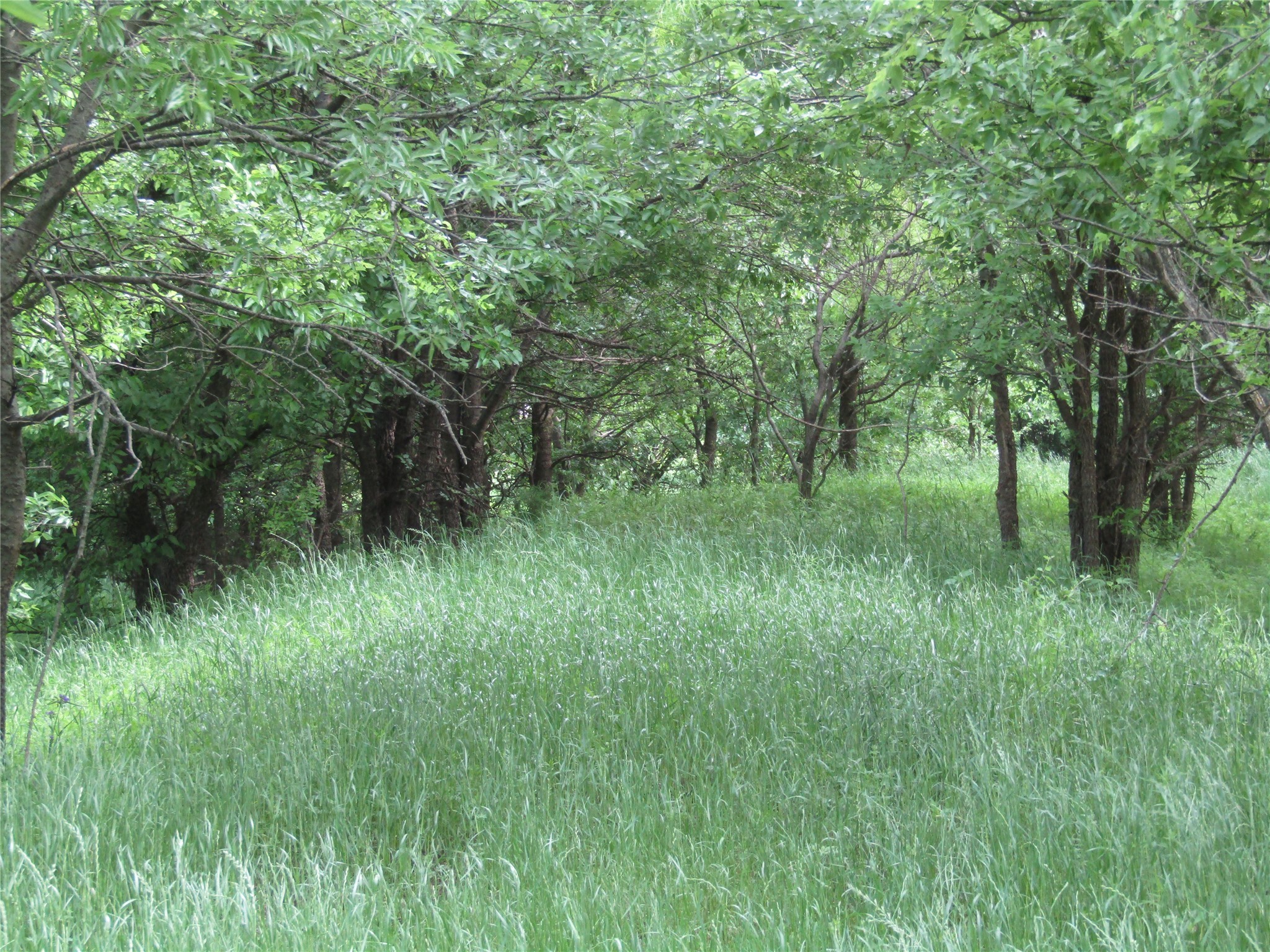 . Fm 2450 & Indian Trail Sanger TX 76249