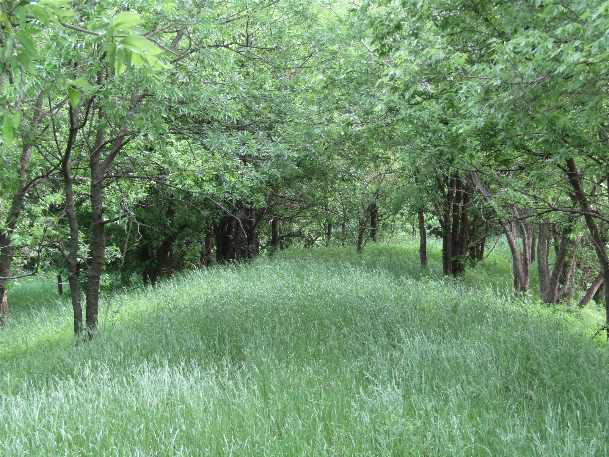 . Fm 2450 & Indian Trail Sanger TX 76249